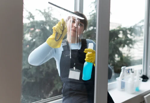 Nettoyage de vitres intérieures et extérieures à Chichée